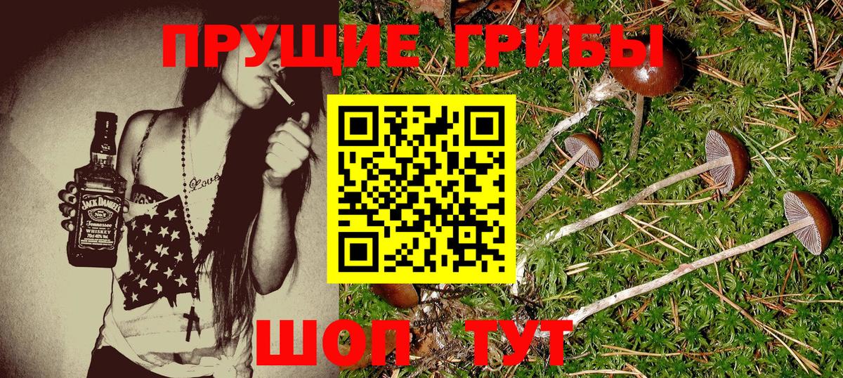 Галлюциногенные грибы MAGIC MUSHROOMS Ессентуки