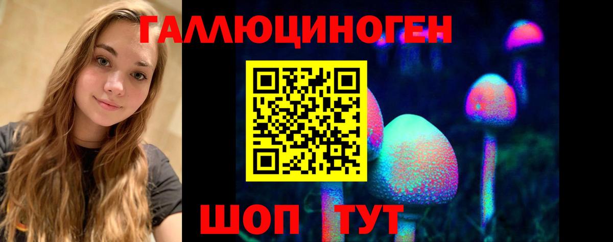 Галлюциногенные грибы GOLDEN TEACHER  Вход с VPN  Ессентуки  Псилоцибиновые грибы прущие грибы 